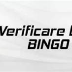 bingo bet verificare bilet